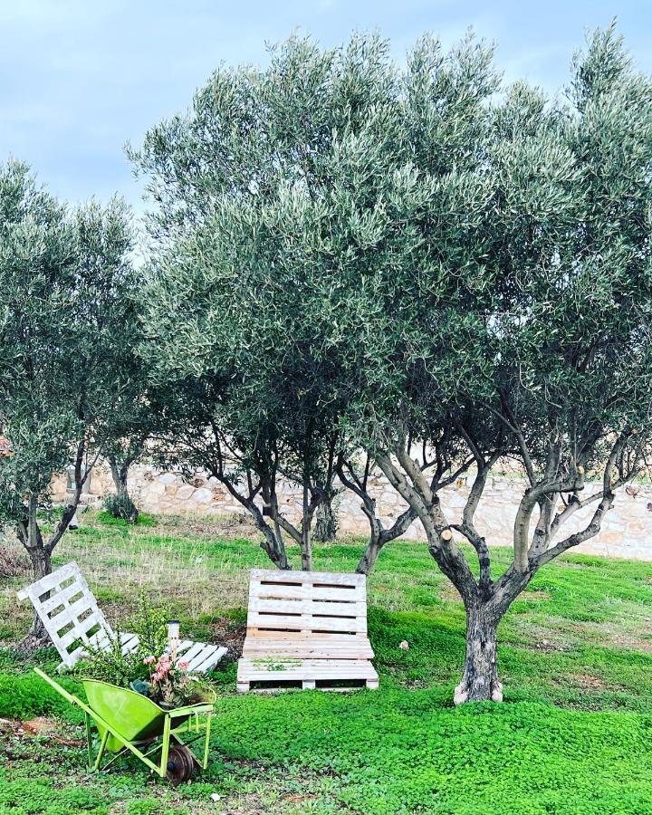 Villa Maxima Lavrio Thorikon Bagian luar foto