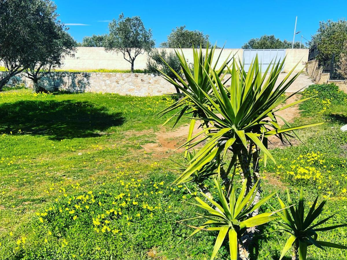 Villa Maxima Lavrio Thorikon Bagian luar foto